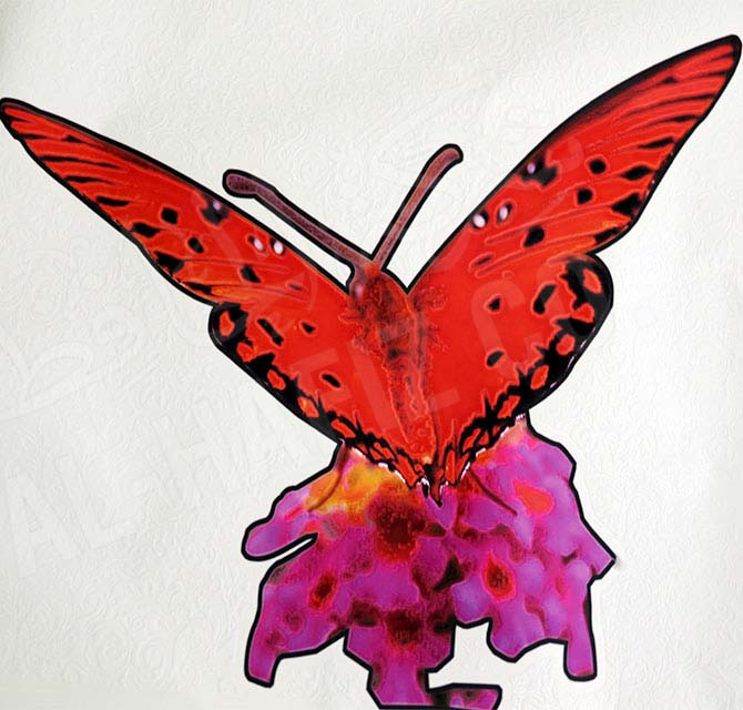 خلفيات فراشة منقوش