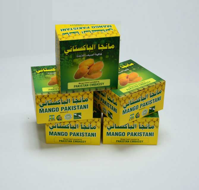  Paper Gift Boxes for Fruits