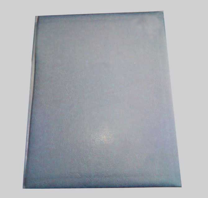 Custom Daily Diary Planner 2023 - Faux - Navy Blue