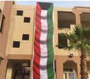 Large Building Giant Flag