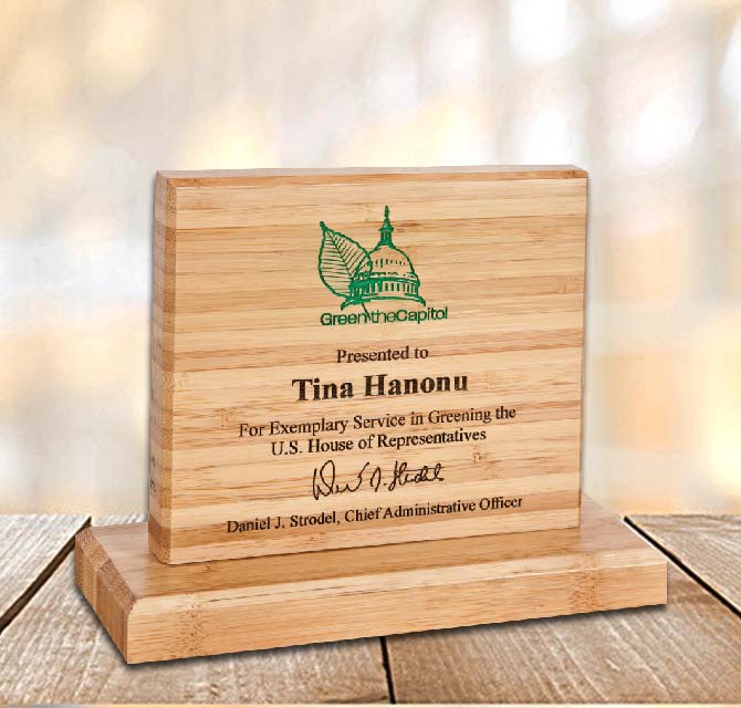 Custom Eco Friendly Bamboo Award