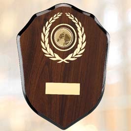 Acrylic Shield Wooden Award 