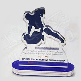 UV Printed Custom Acrylic Sport Shield UV Printed Custom Acrylic Sport Shield