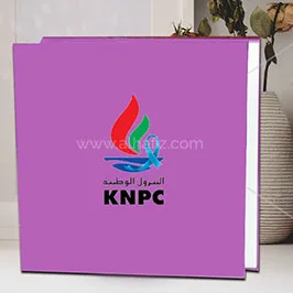 Corporate Logo Printed Box File Corporate Logo Printed Box File
