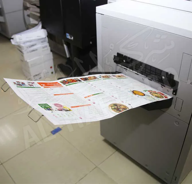 Long Brochures Printing Double Side