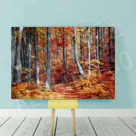  Canvas Printing - Landscape