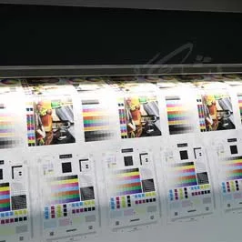 Large Format Wallpaper Printing Large Format Wallpaper Printing