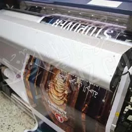 Large Format Posters Printing (Rollup Printing)