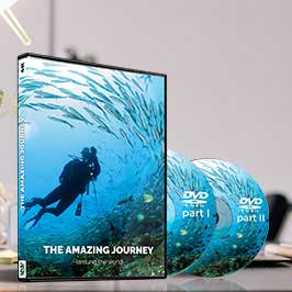 CD Printing CD Printing