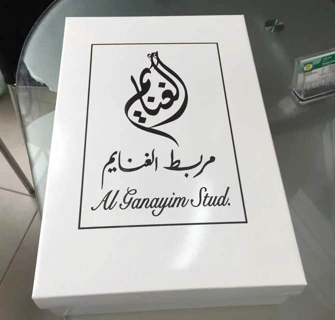علبة هدايا ورق ـ مربط الغنايم للخيول