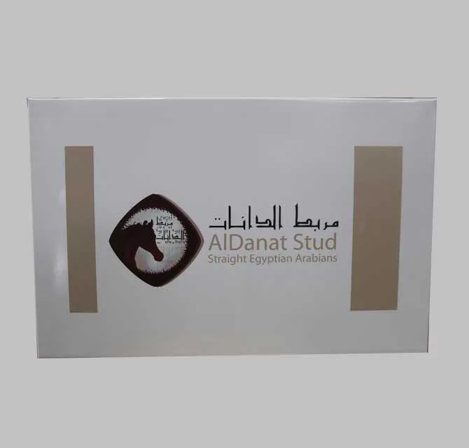 Paper Gift Box - AlDanat Stud