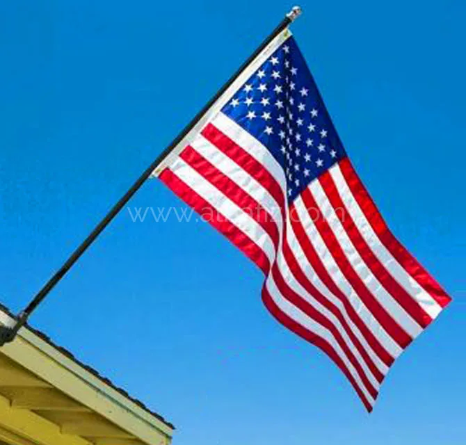 USA Flag