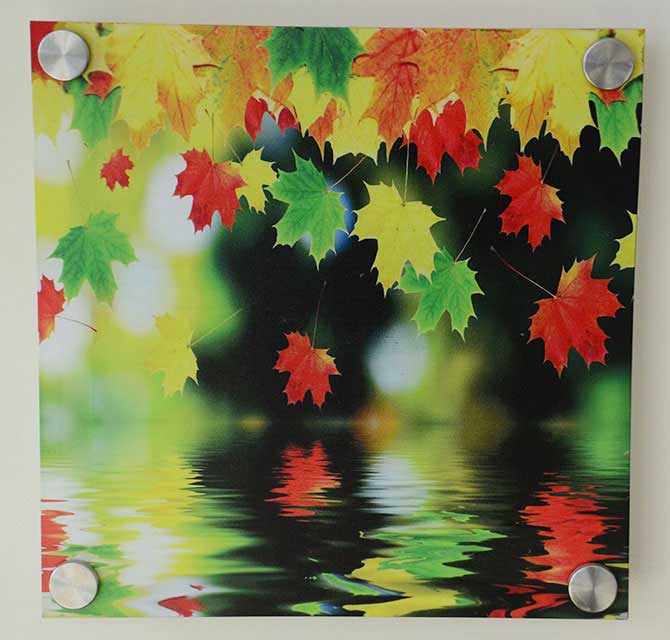 Acrylic Standoff - Wall Decor